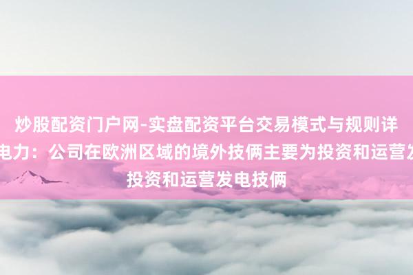 炒股配资门户网-实盘配资平台交易模式与规则详解 上海电力：公司在欧洲区域的境外技俩主要为投资和运营发电技俩
