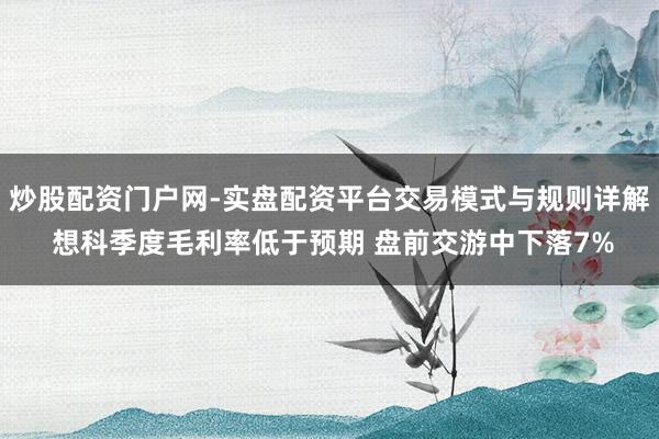 炒股配资门户网-实盘配资平台交易模式与规则详解 想科季度毛利率低于预期 盘前交游中下落7%