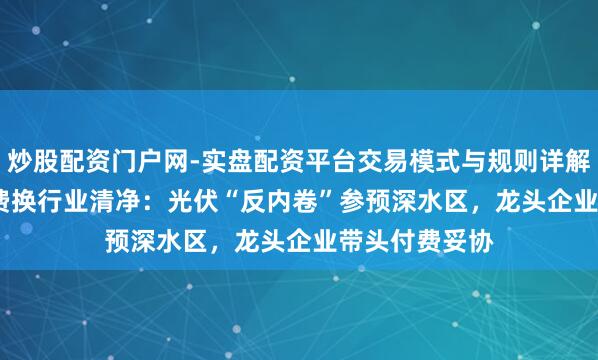 炒股配资门户网-实盘配资平台交易模式与规则详解 16.5亿专利费换行业清净：光伏“反内卷”参预深水区，龙头企业带头付费妥协