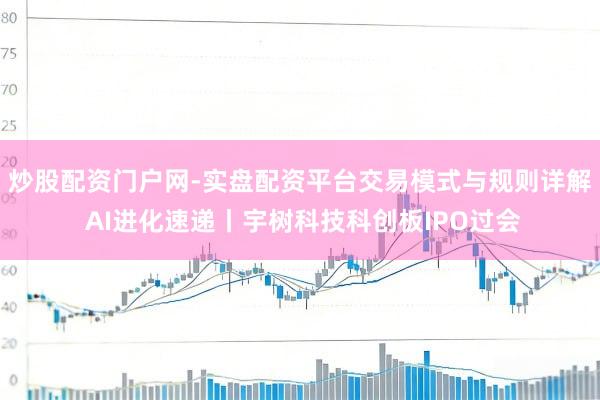 炒股配资门户网-实盘配资平台交易模式与规则详解 AI进化速递丨宇树科技科创板IPO过会